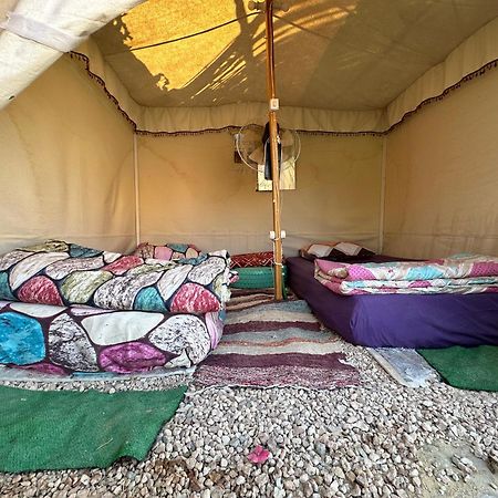 Muhra Camp Siwa Hotel Siwa Oasis Ngoại thất bức ảnh