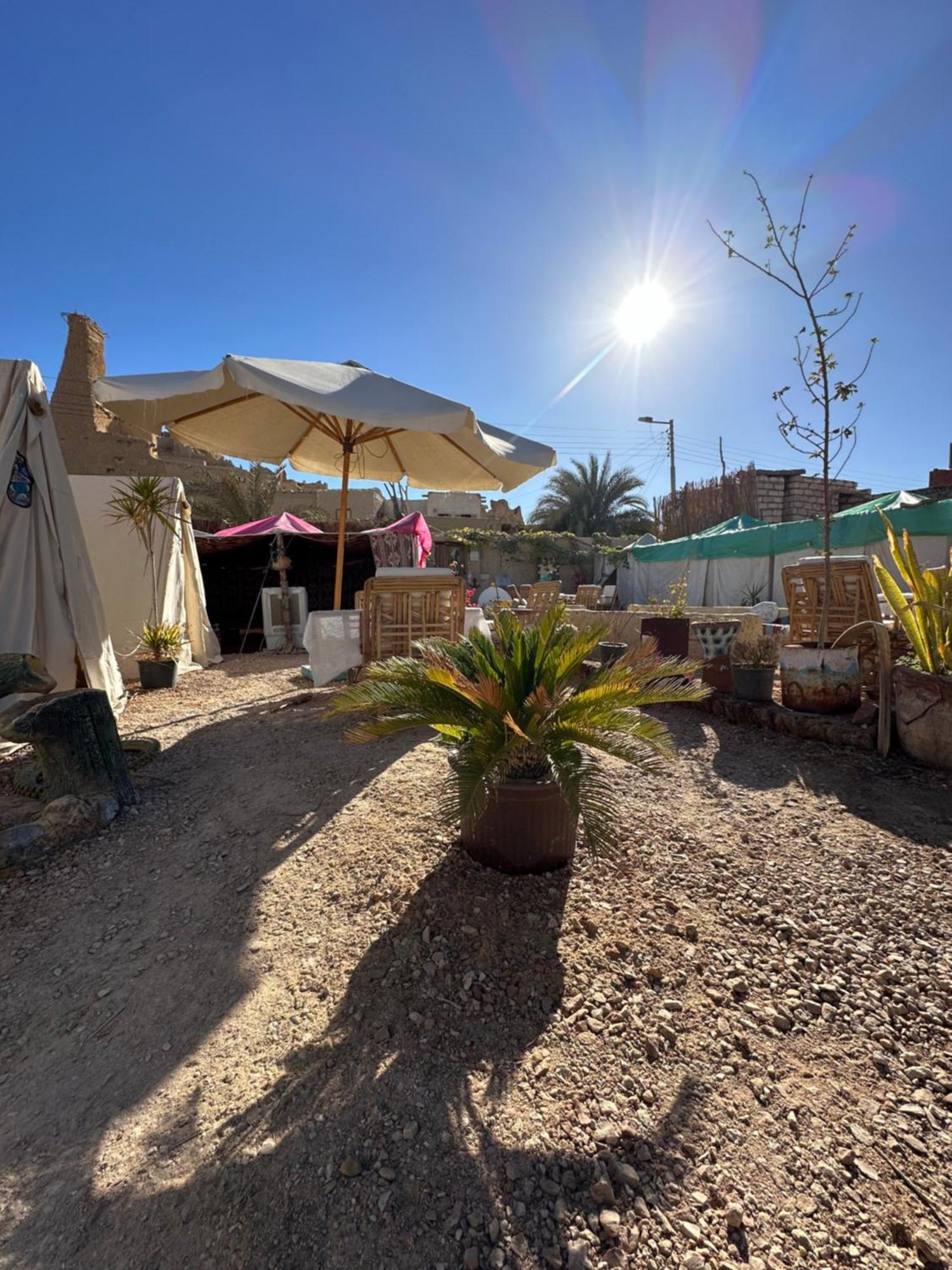Muhra Camp Siwa Hotel Siwa Oasis Ngoại thất bức ảnh