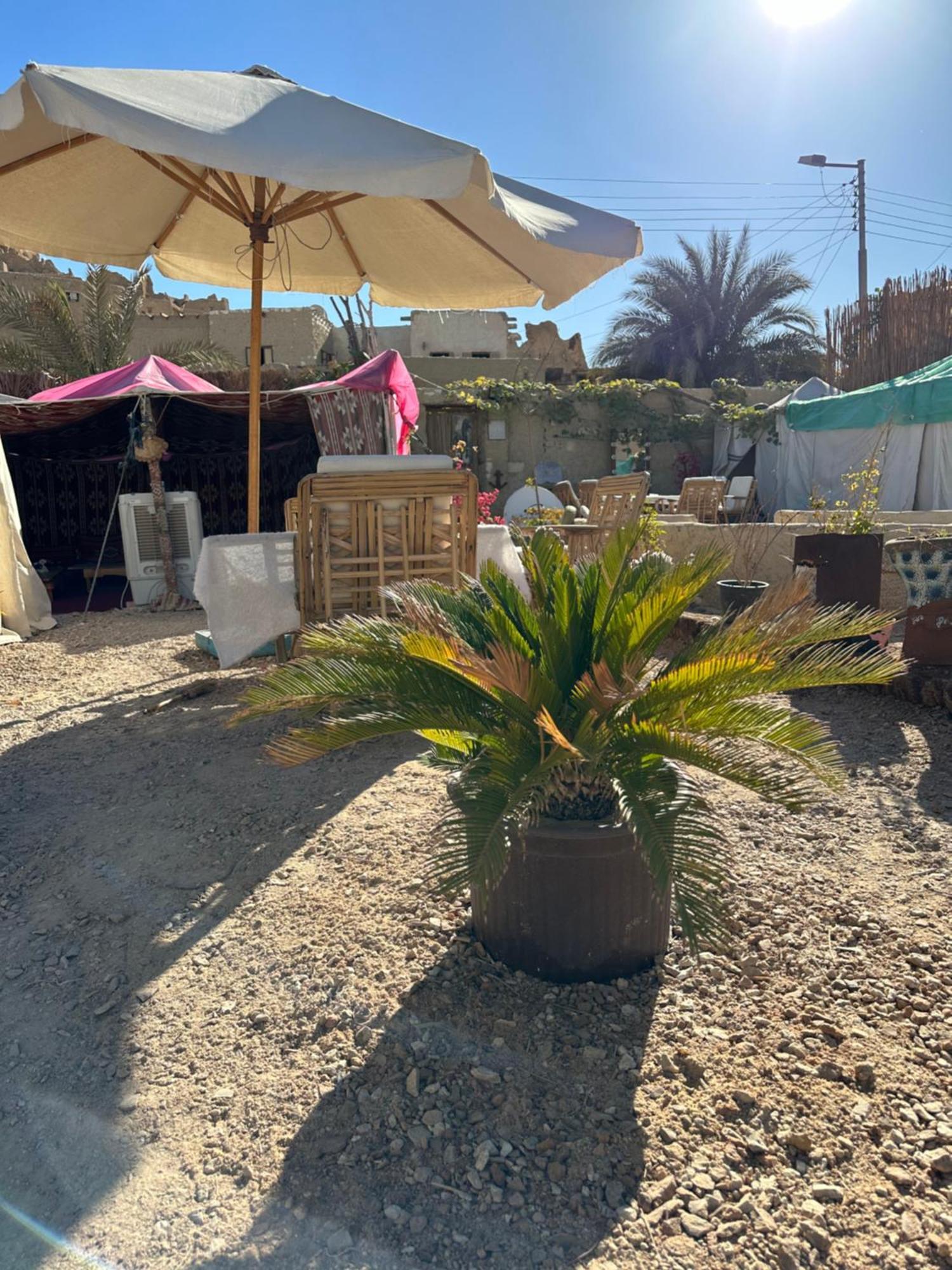 Muhra Camp Siwa Hotel Siwa Oasis Ngoại thất bức ảnh