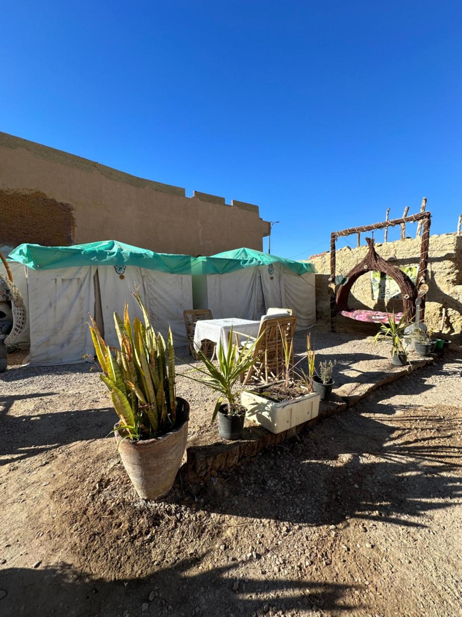 Muhra Camp Siwa Hotel Siwa Oasis Ngoại thất bức ảnh