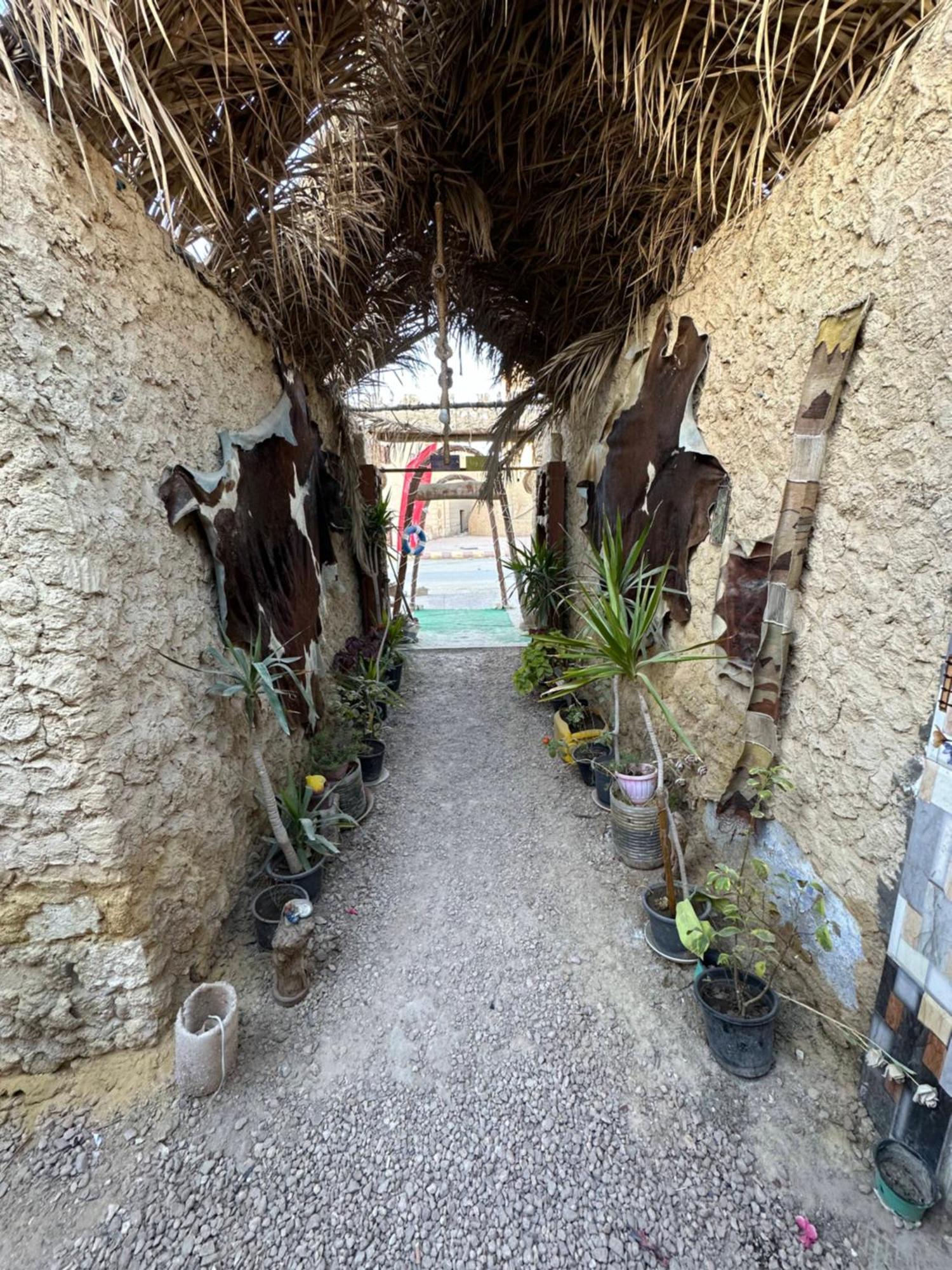 Muhra Camp Siwa Hotel Siwa Oasis Ngoại thất bức ảnh
