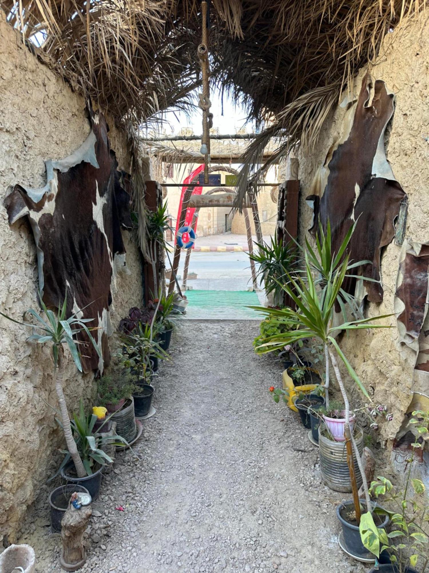 Muhra Camp Siwa Hotel Siwa Oasis Ngoại thất bức ảnh
